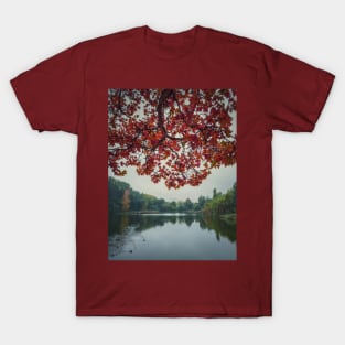 maple tree above lake T-Shirt